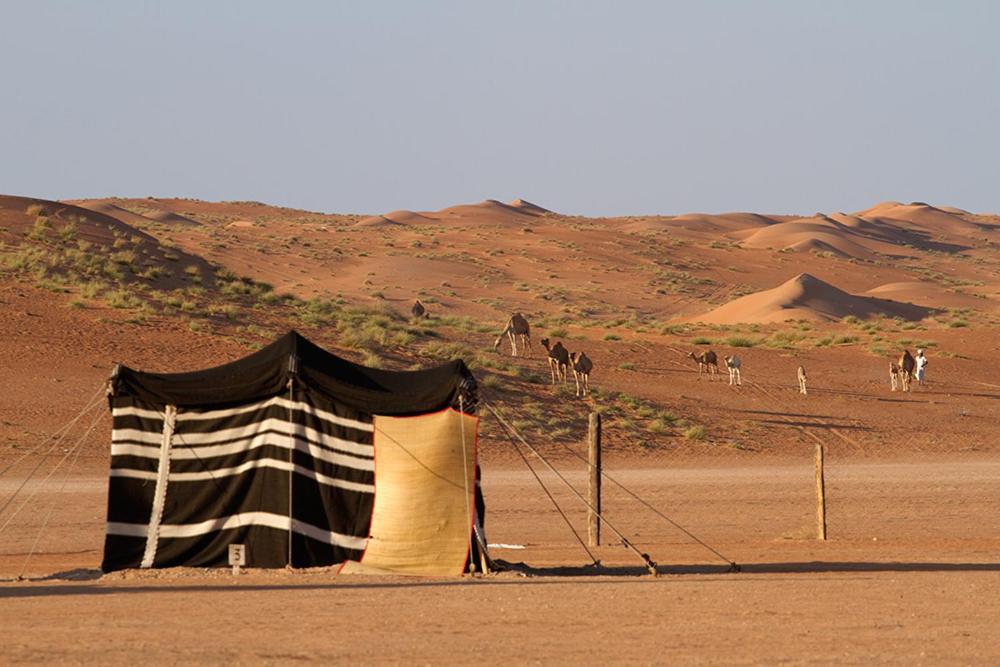 Desert Retreat Camp Al Wāşil Exterior foto